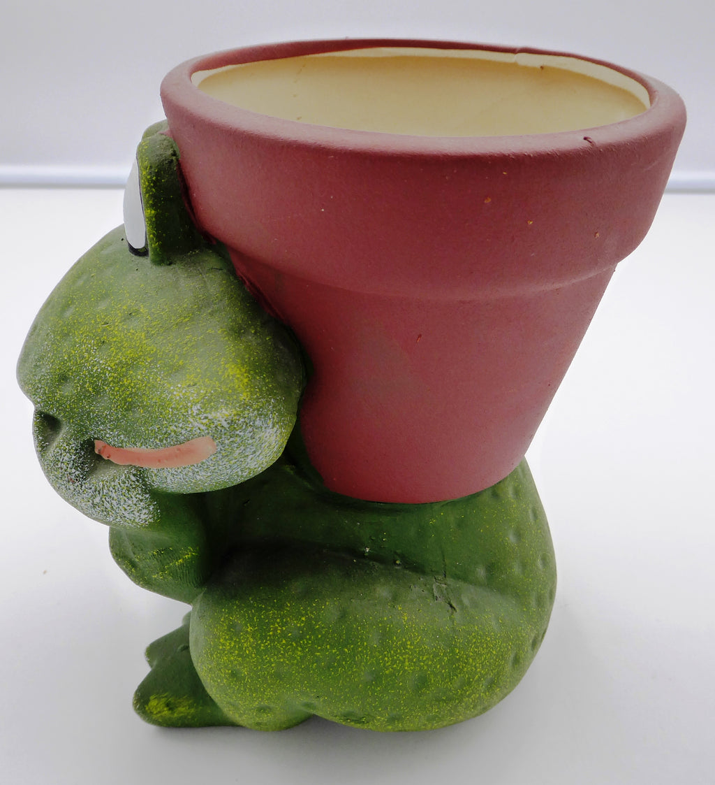 Pot de fleurs grenouille