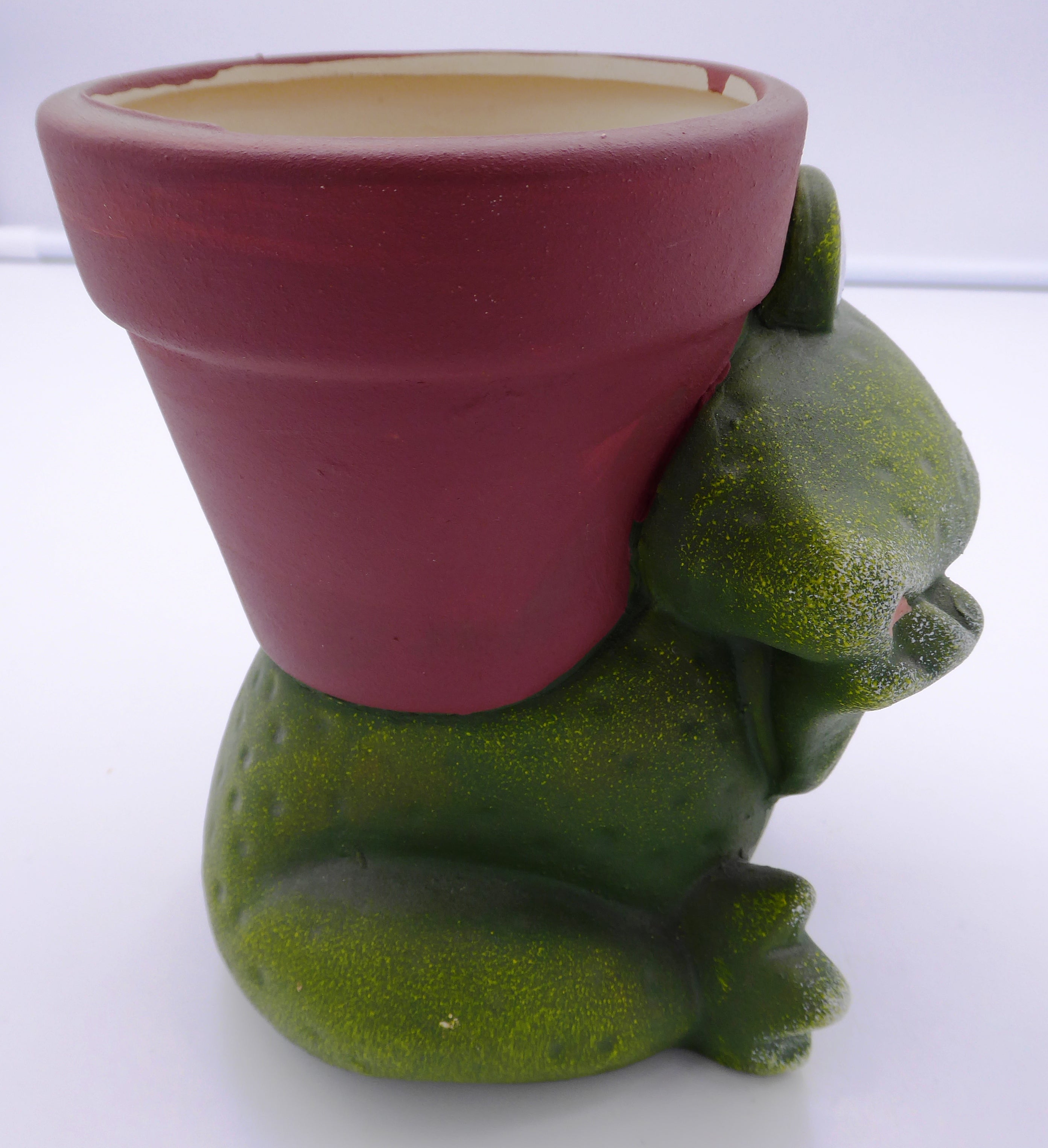 Pot de fleurs grenouille