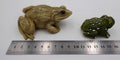 Lot de deux sujets grenouilles variés