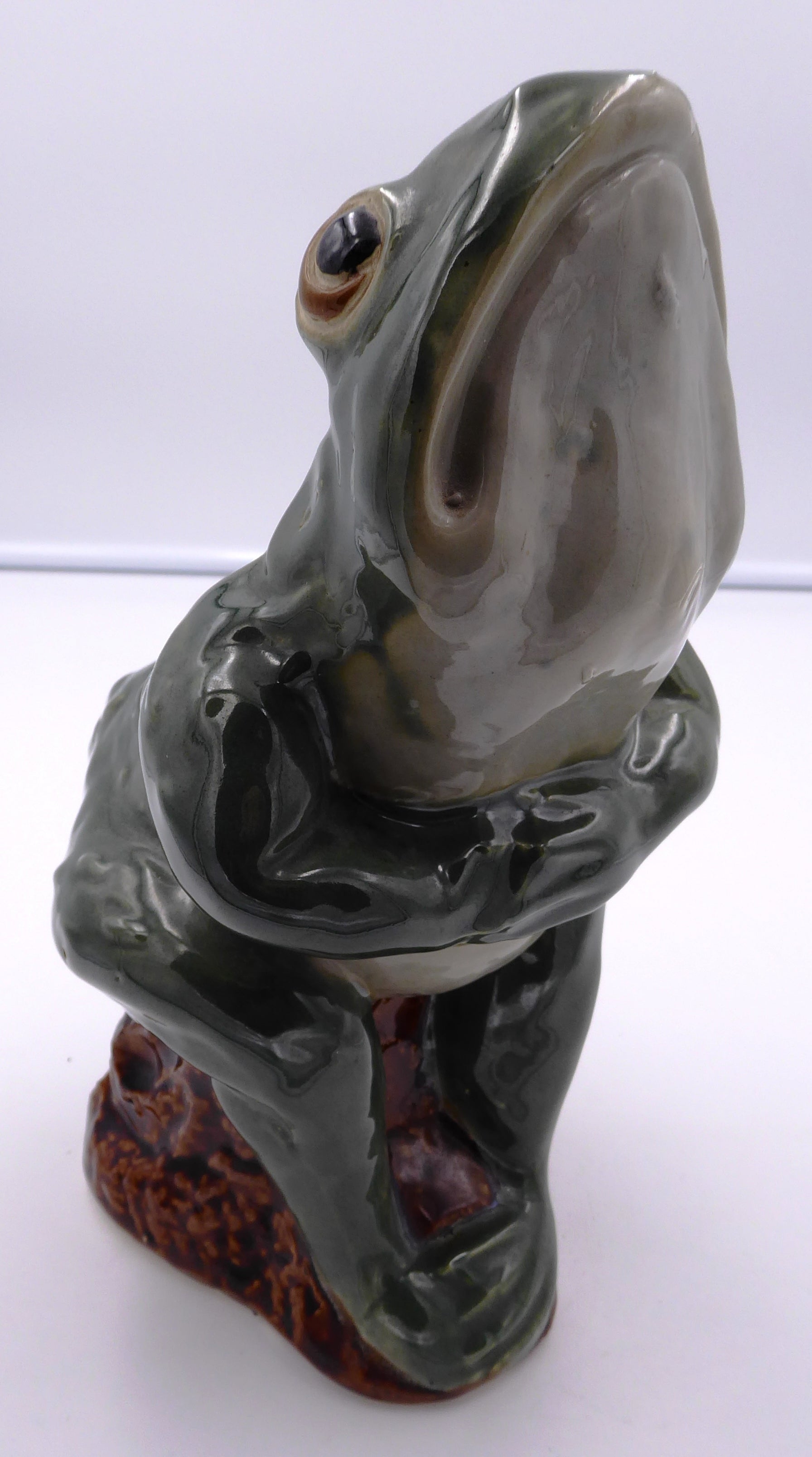 Grenouille sur un tronc d'arbre
