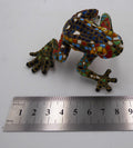 Grenouille écaillée