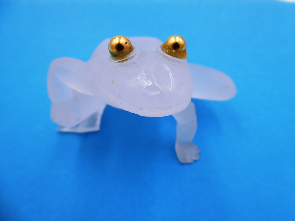 Grenouilles DAUM aux yeux dorés