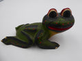 Moyenne grenouille rigolote