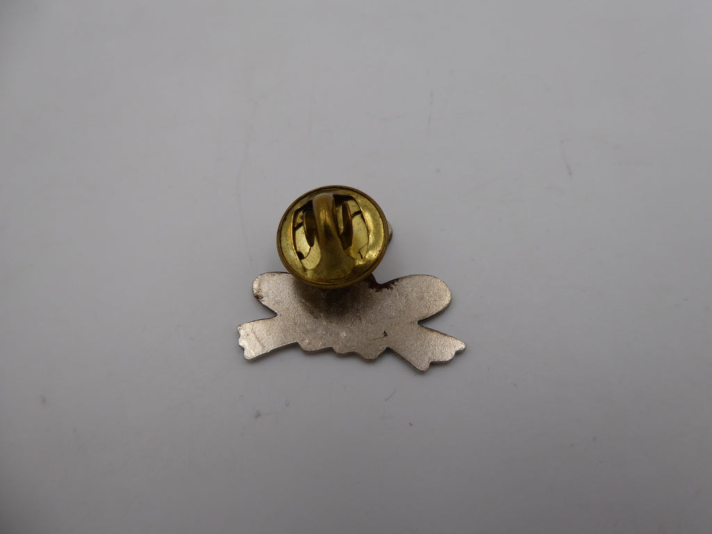 Pin’s grenouille