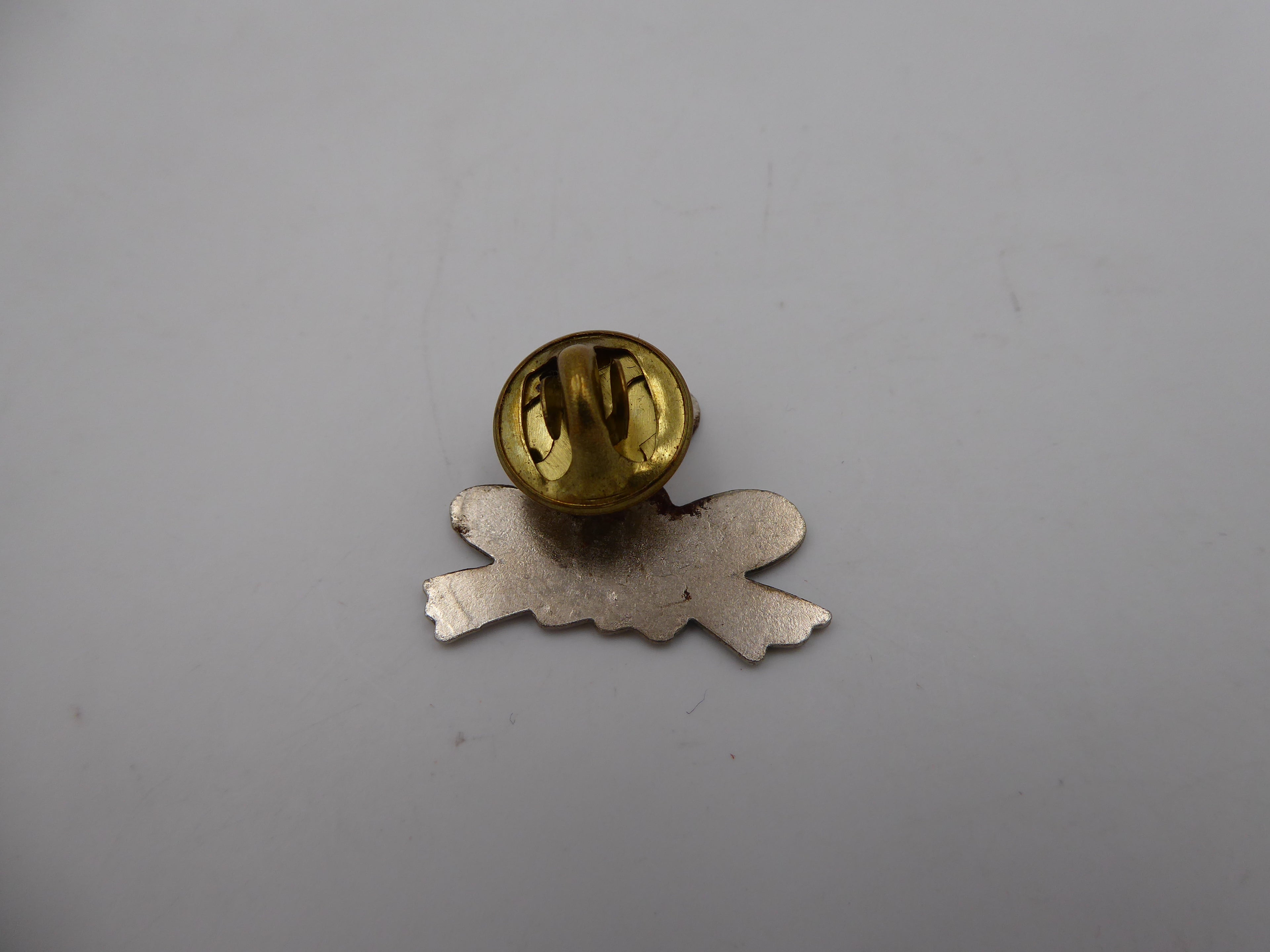 Pin’s grenouille