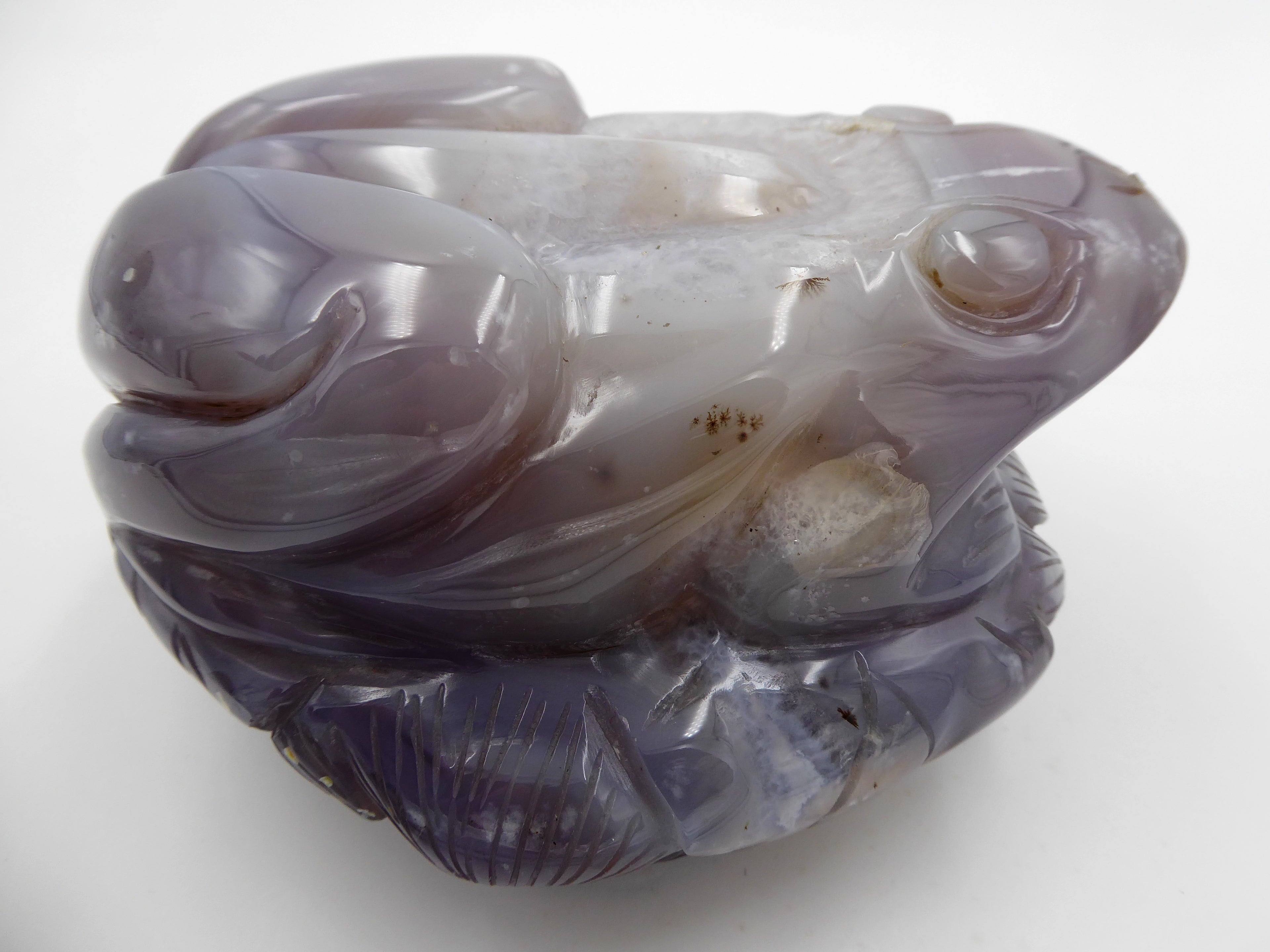 Énorme grenouille en agate