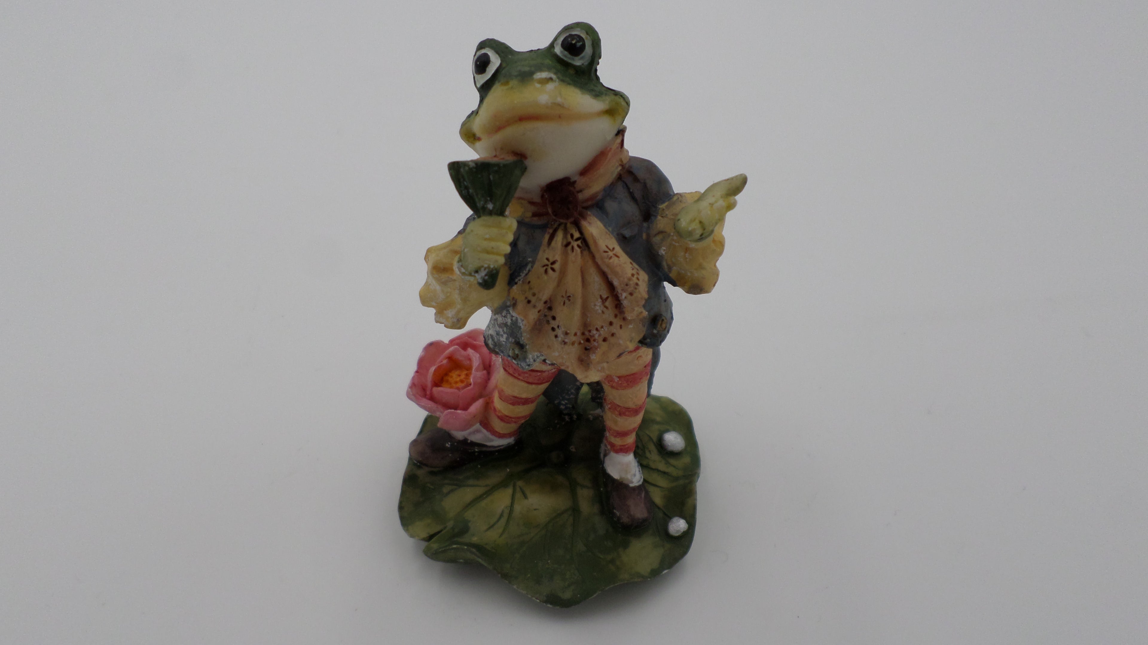 Petite grenouille chanteur coloré