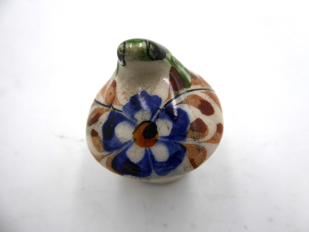 Petite grenouille sur un champignon (Mexico)
