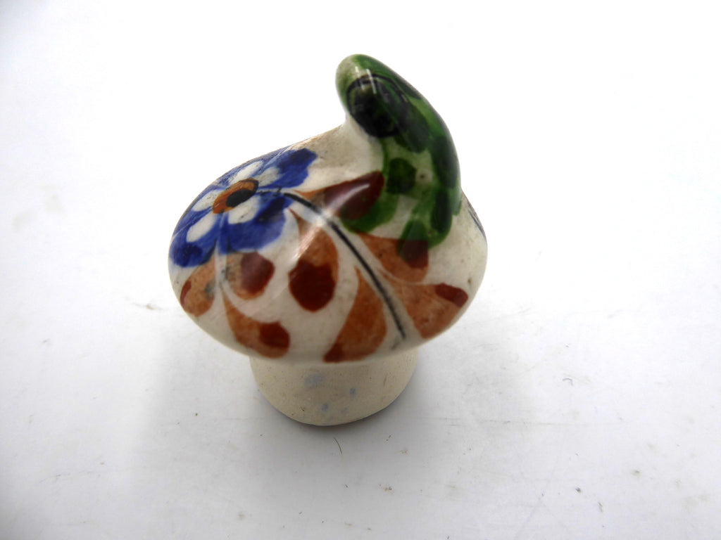 Petite grenouille sur un champignon (Mexico)