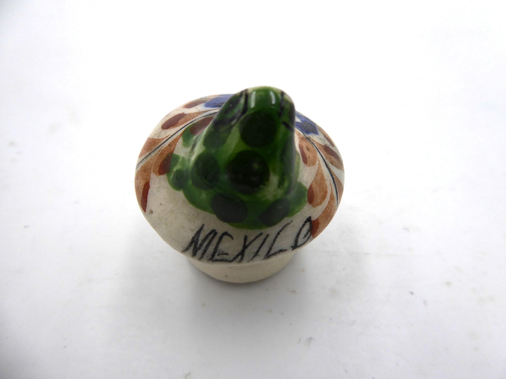 Petite grenouille sur un champignon (Mexico)
