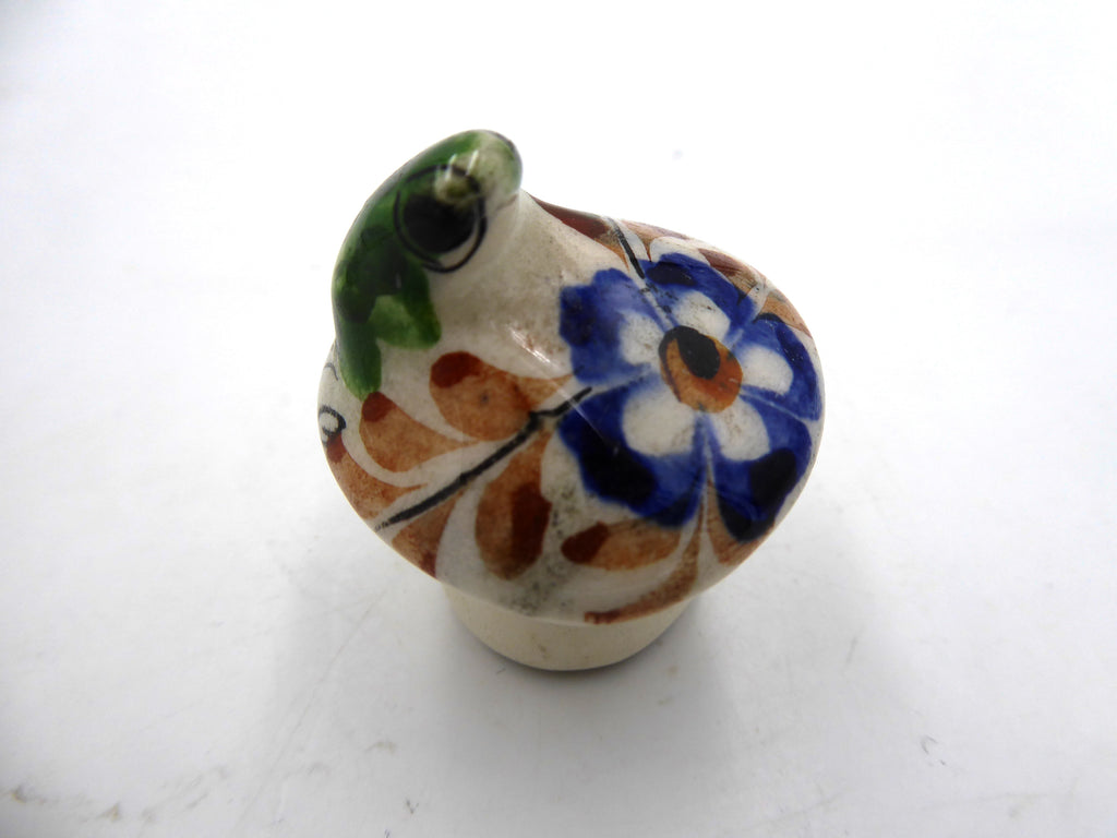 Petite grenouille sur un champignon (Mexico)