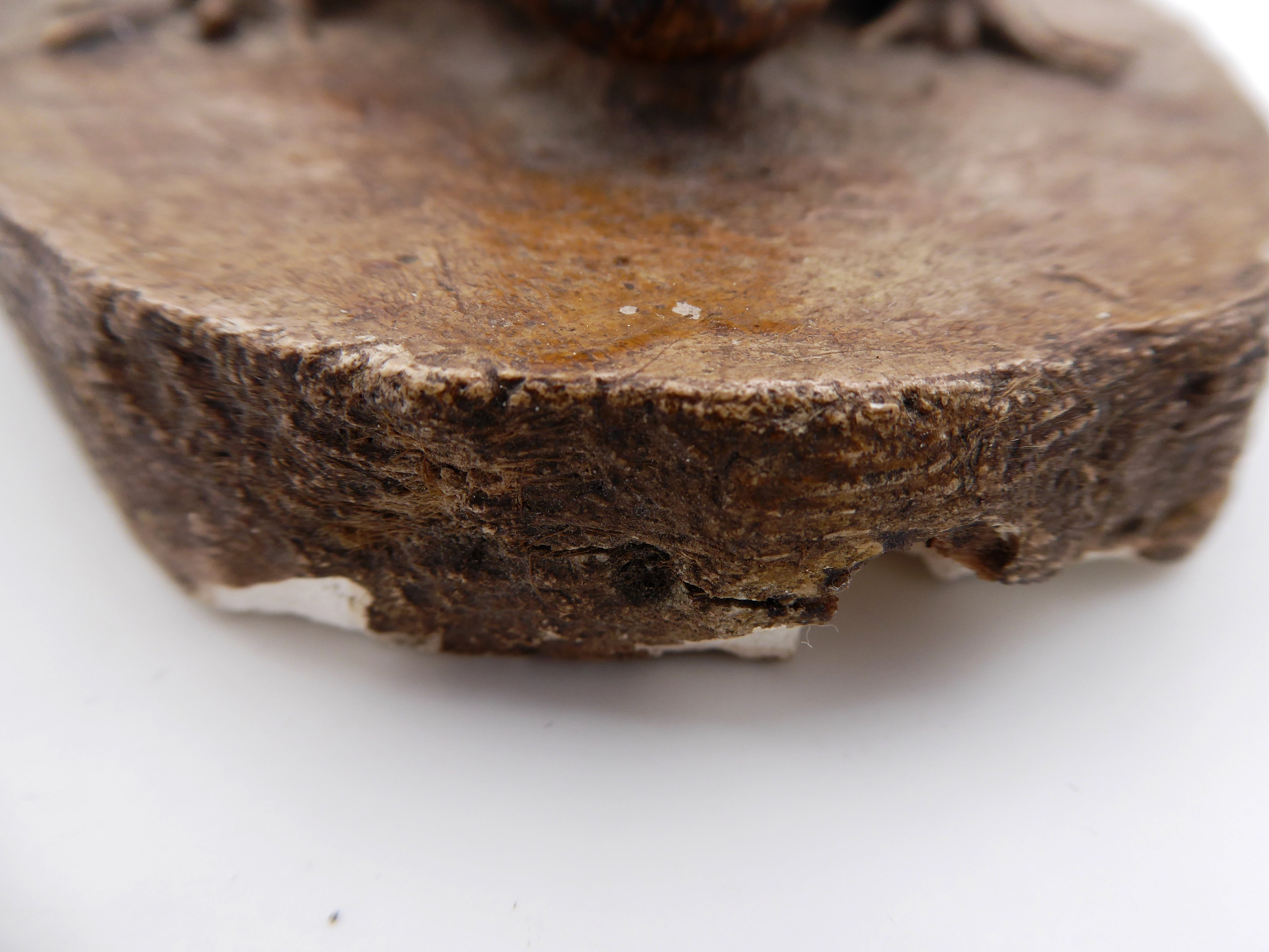 Moulage plâtre peint en marron clair