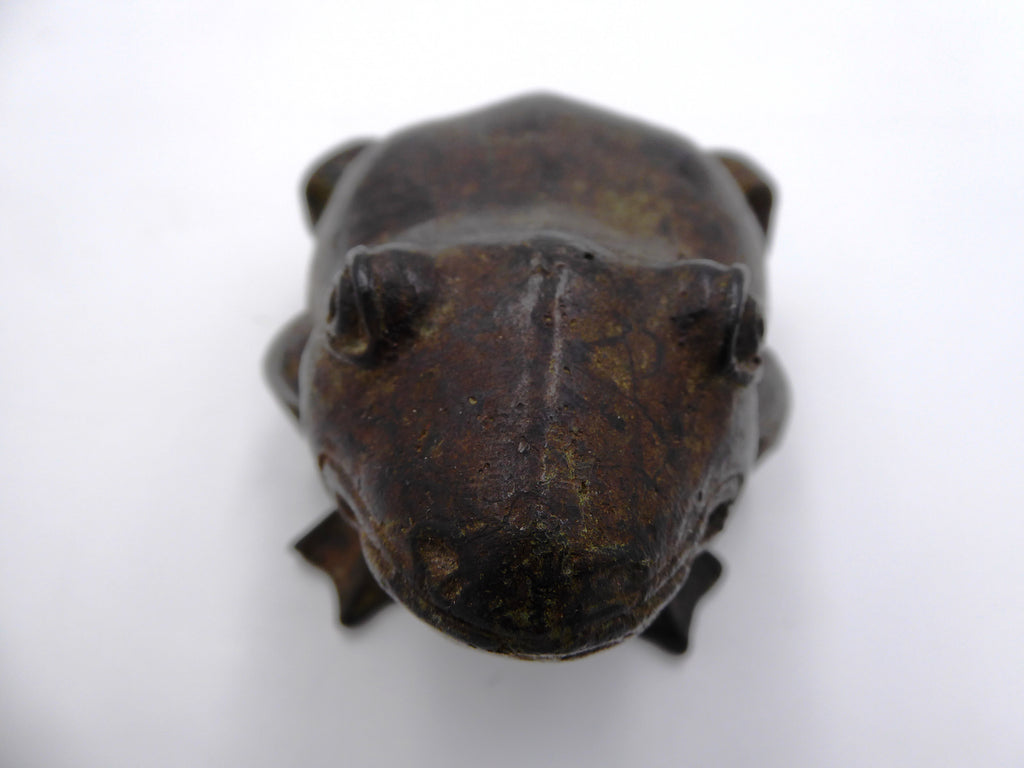 Bronze grenouille classique
