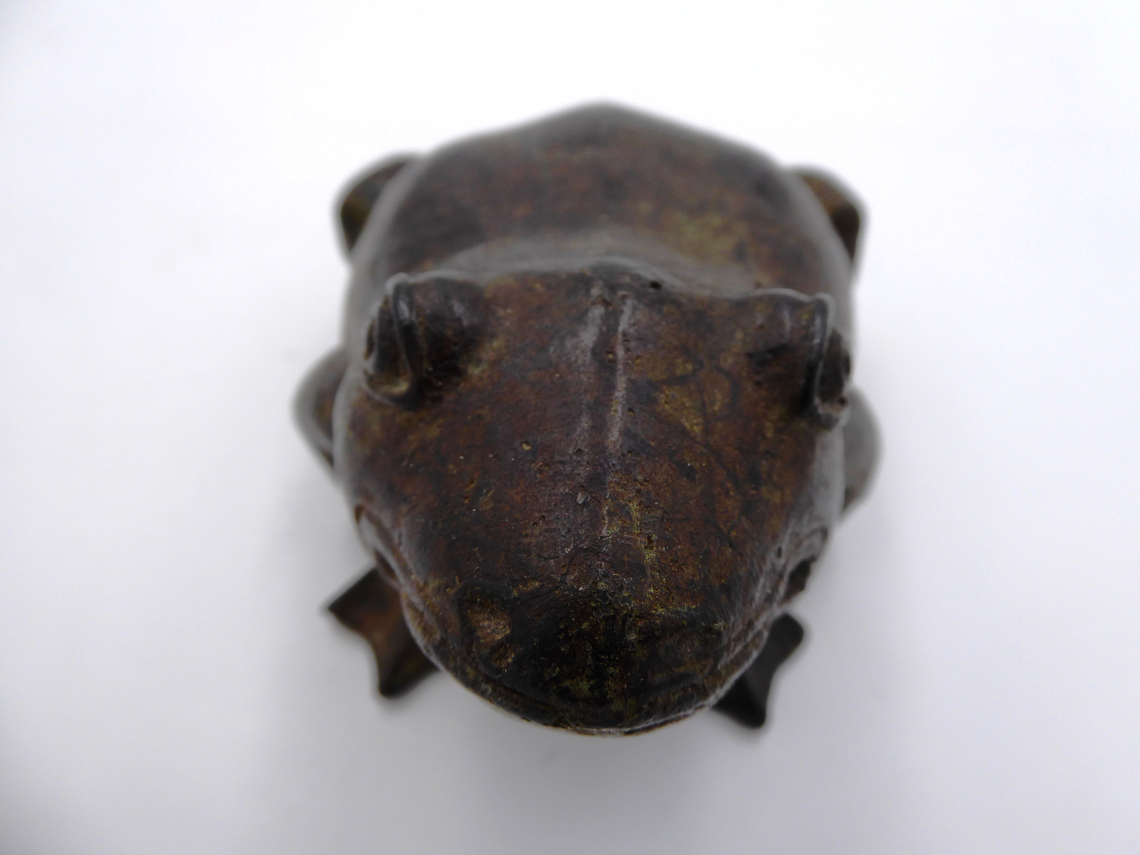 Bronze grenouille classique