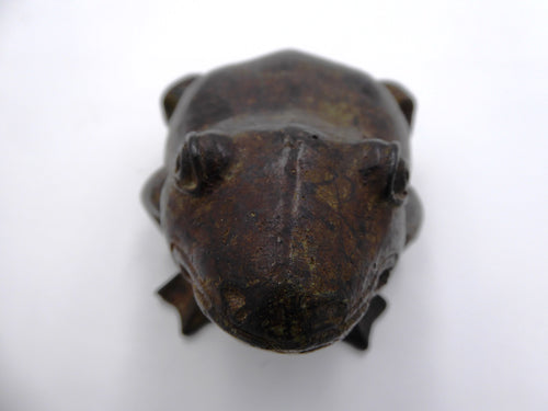 Bronze grenouille classique