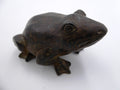 Bronze grenouille classique