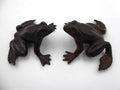 Paire de grenouille en bronze
