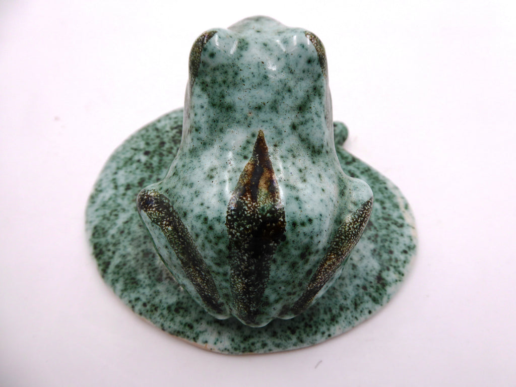 Grenouille sur un nénuphar atelier WOUDMAN HOLLANDE