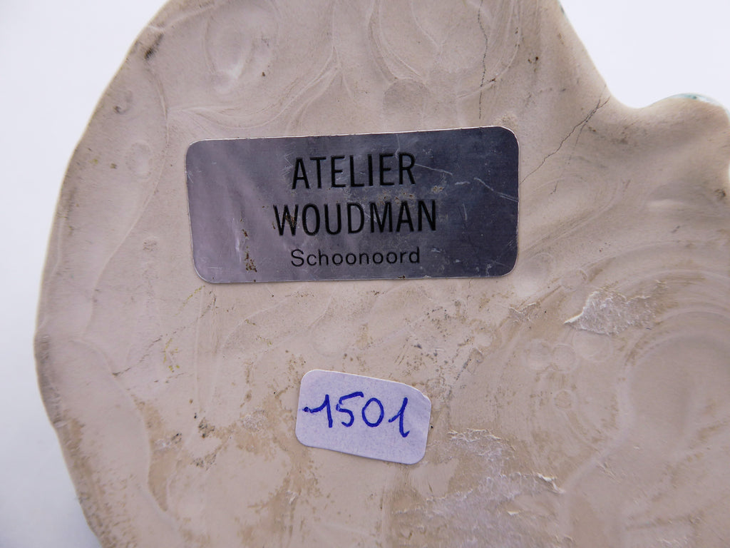 Grenouille sur un nénuphar atelier WOUDMAN HOLLANDE