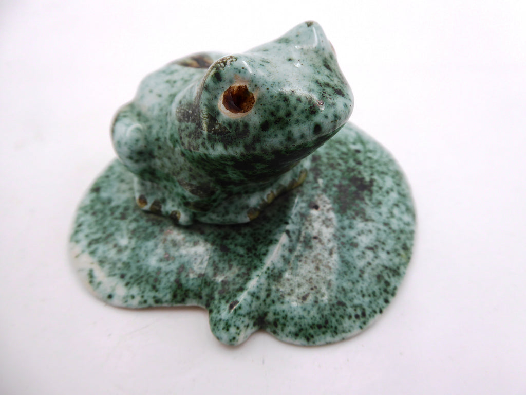 Grenouille sur un nénuphar atelier WOUDMAN HOLLANDE