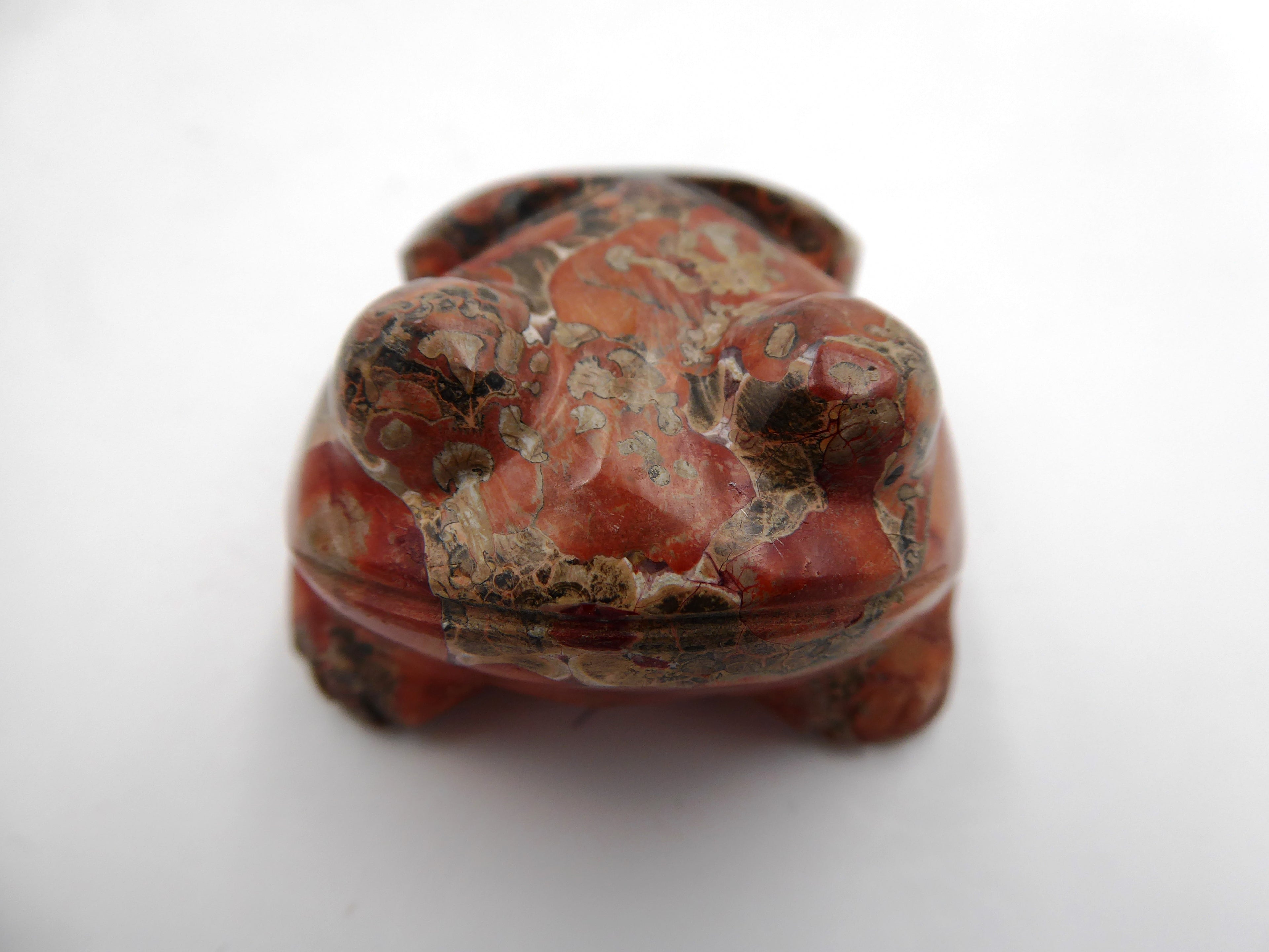 Grenouille obsidienne rose
