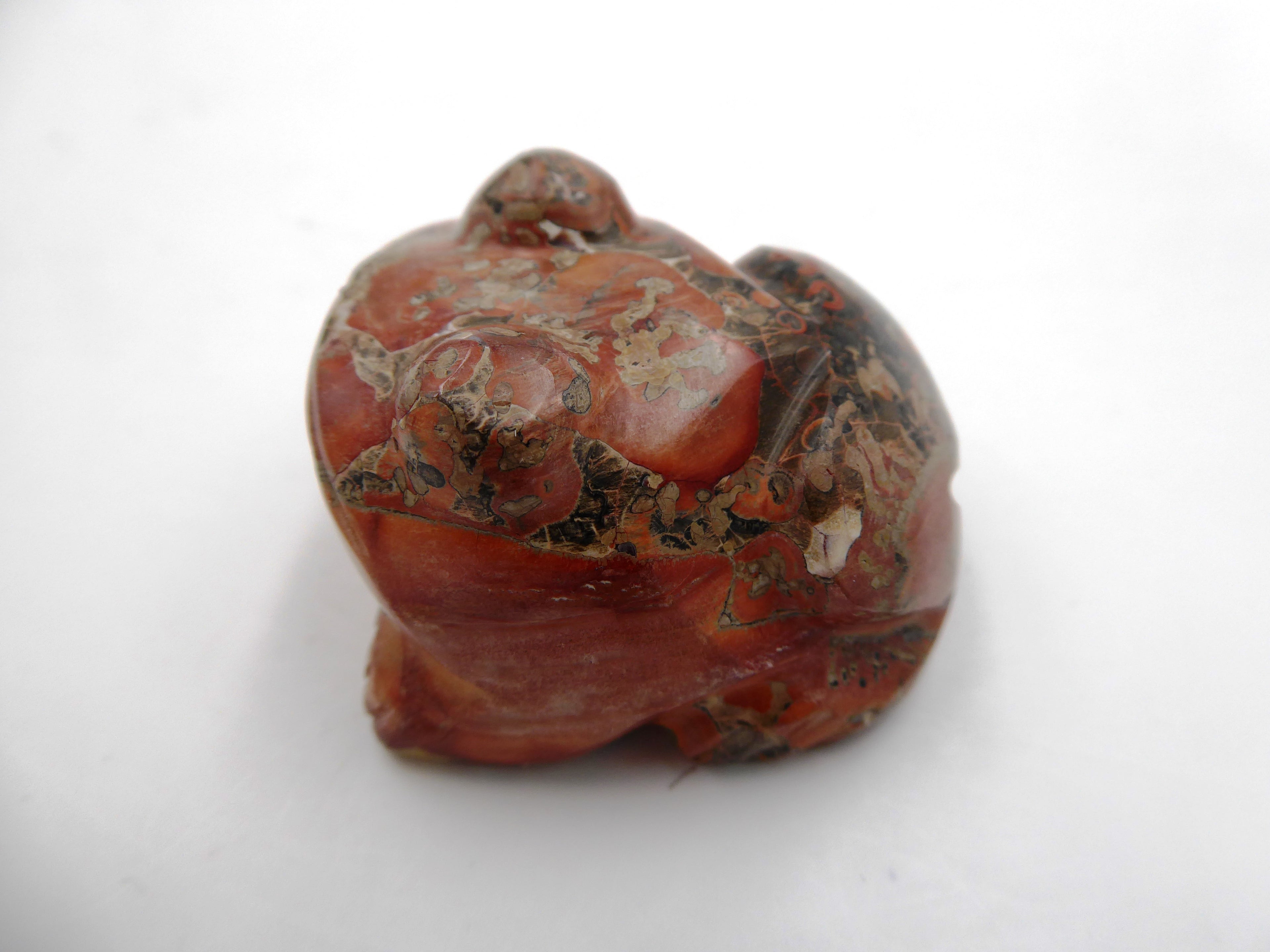 Grenouille obsidienne rose
