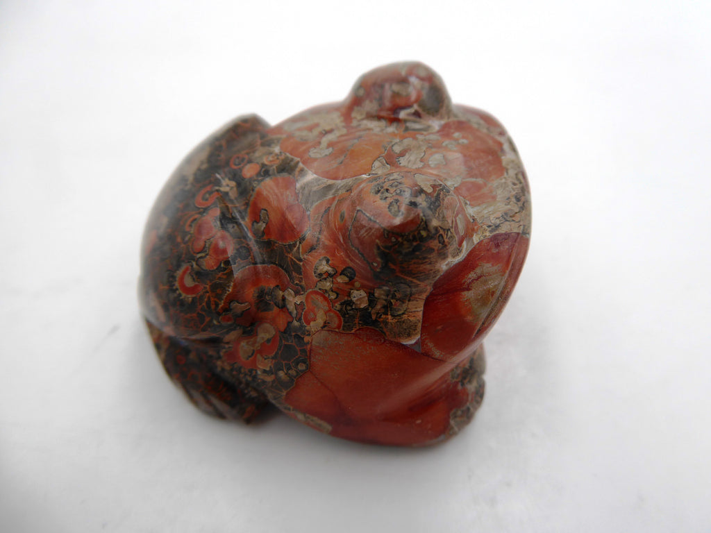 Grenouille obsidienne rose