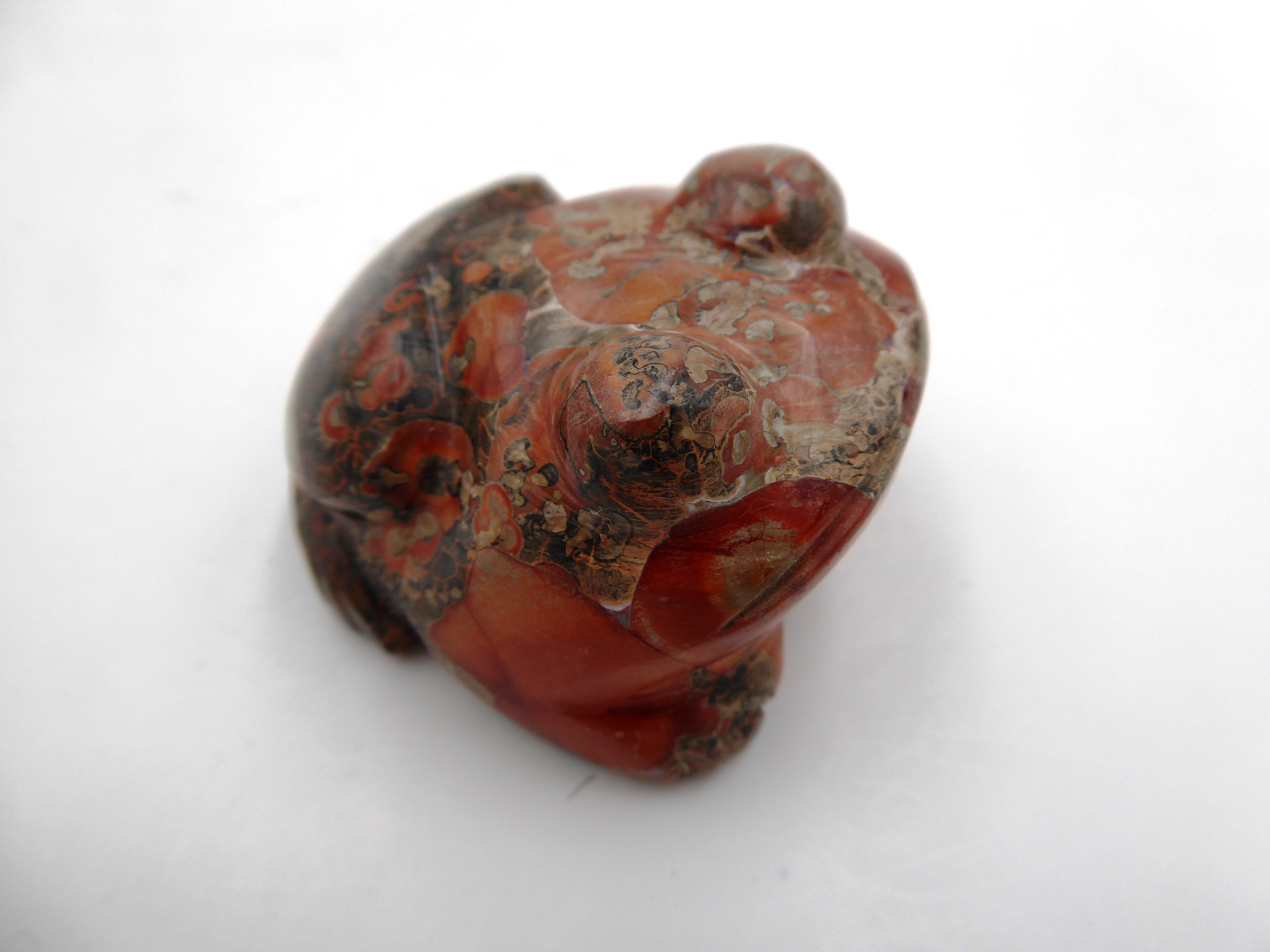 Grenouille obsidienne rose