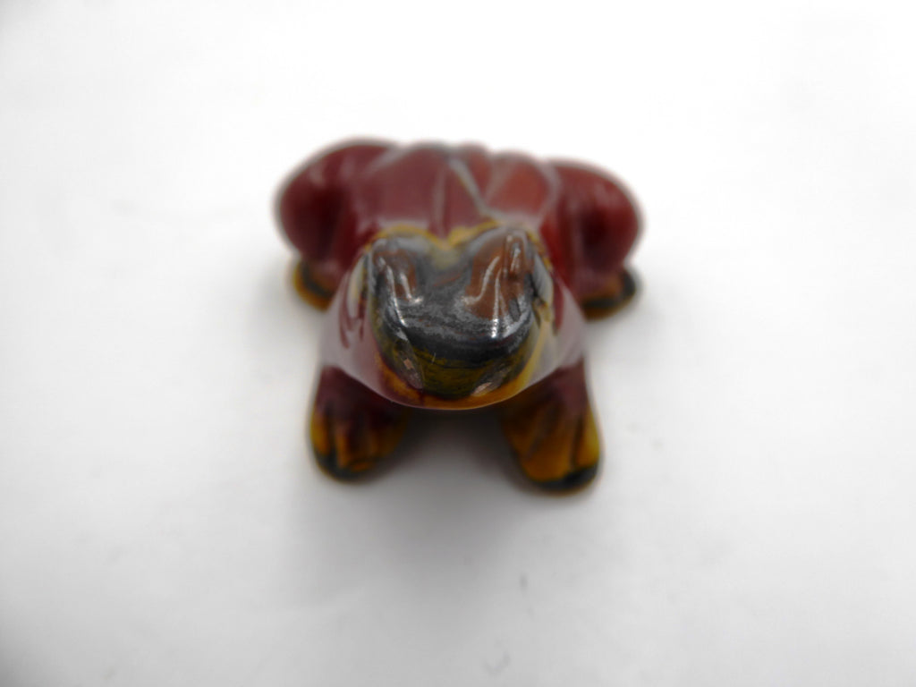 Belle petite grenouille jaspe venant d'Asie