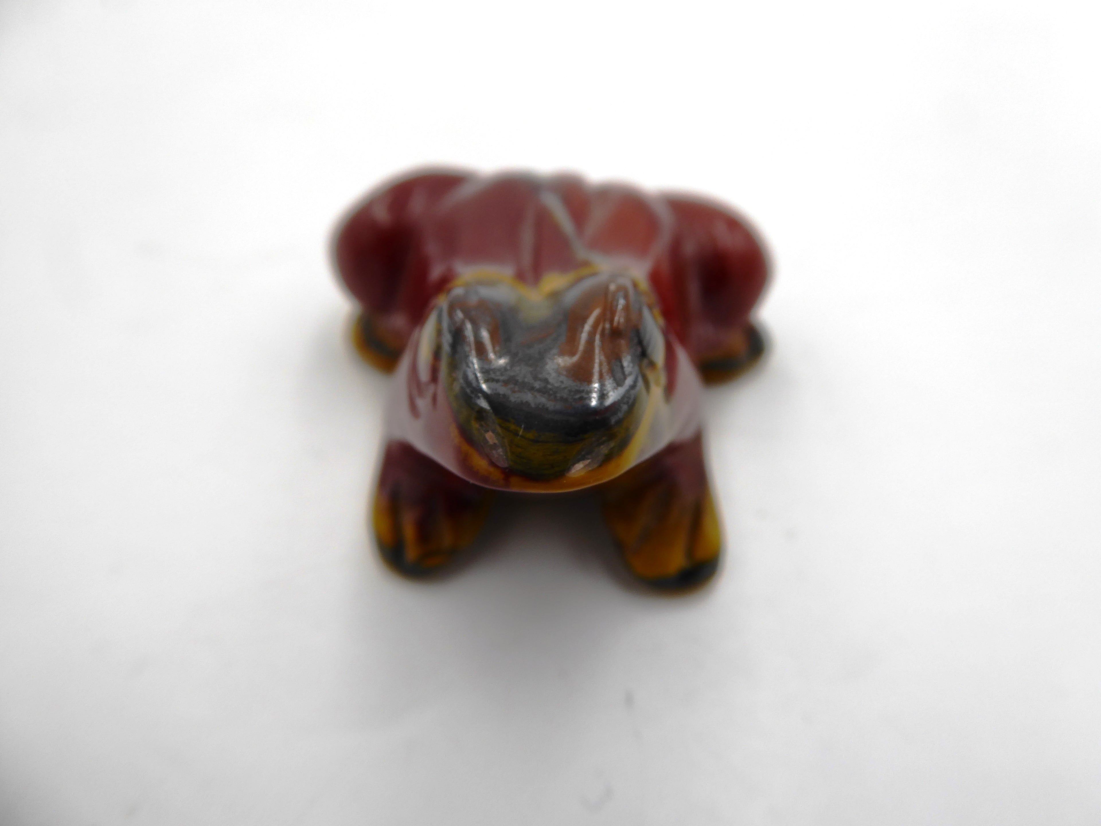 Belle petite grenouille jaspe venant d'Asie
