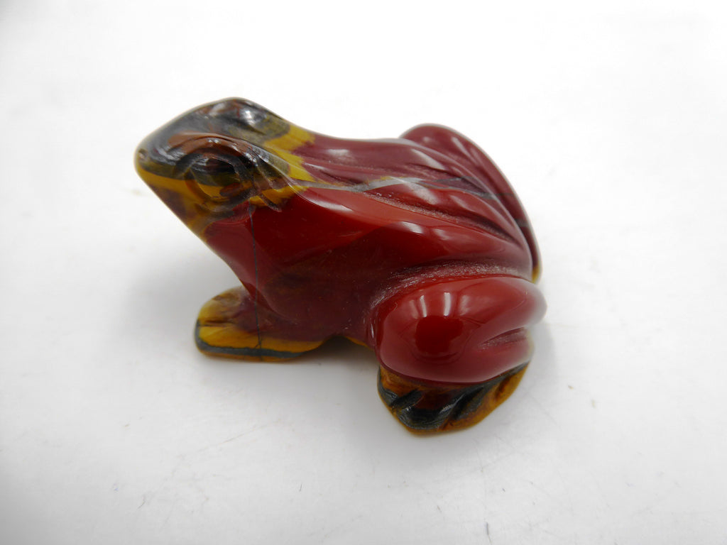 Belle petite grenouille jaspe venant d'Asie