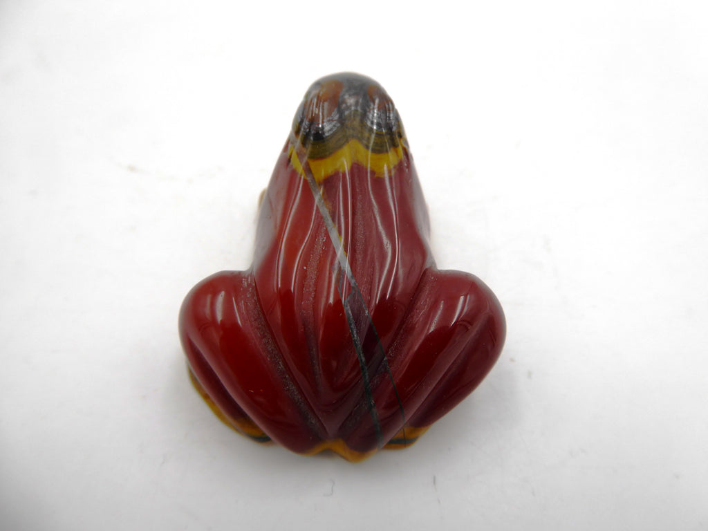 Belle petite grenouille jaspe venant d'Asie