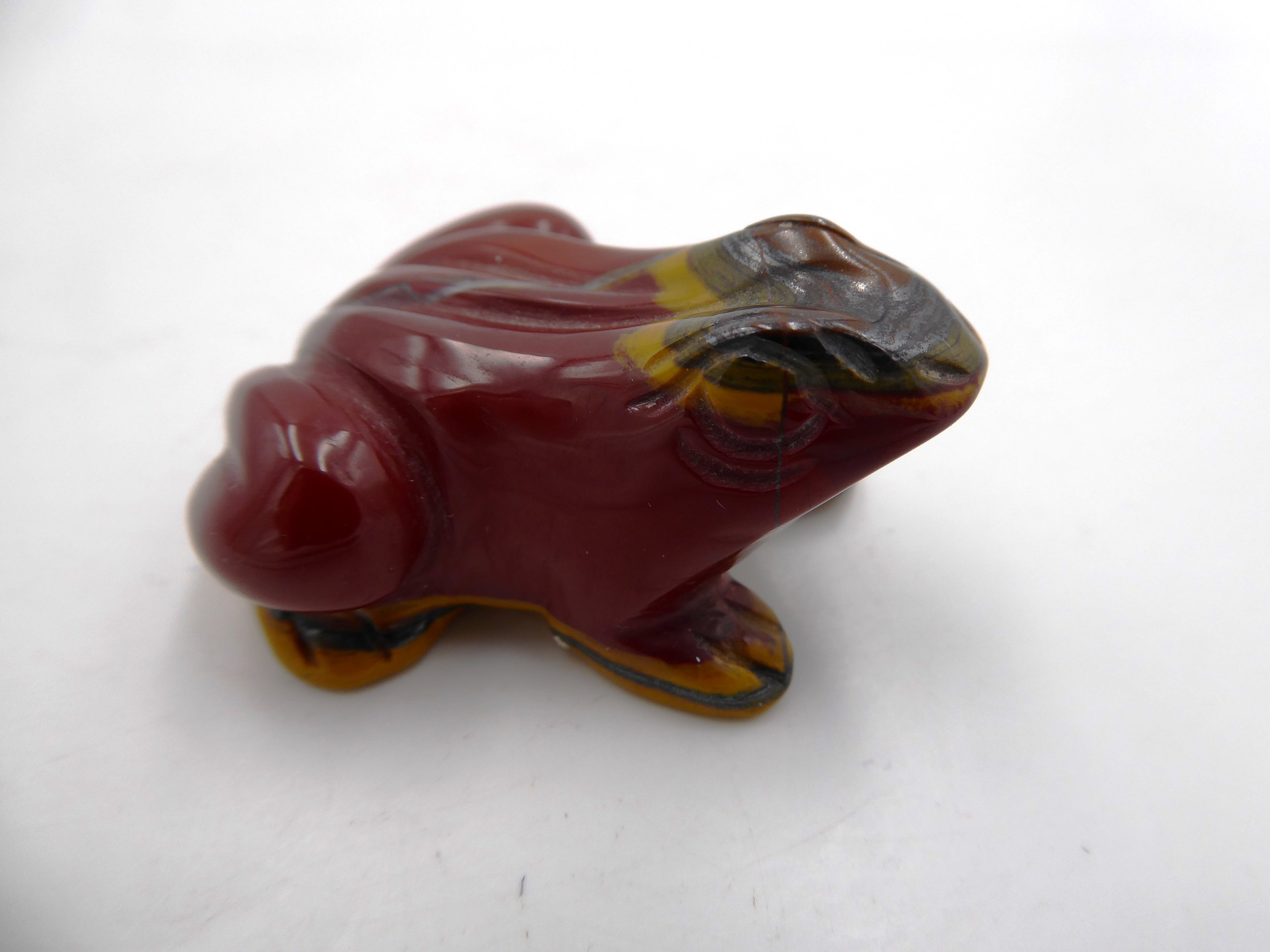 Belle petite grenouille jaspe venant d'Asie