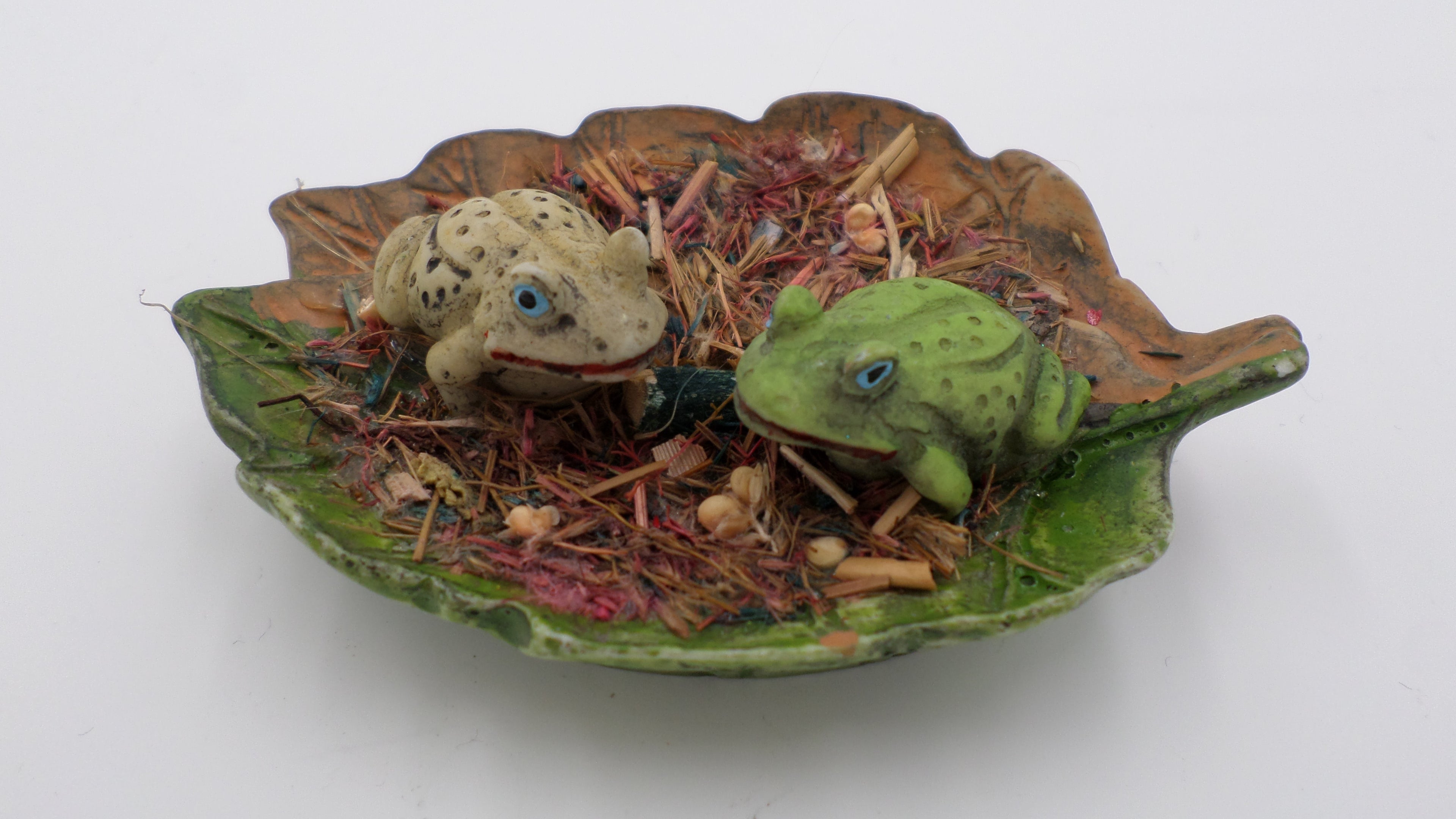 Couple de grenouilles sur un nénuphar