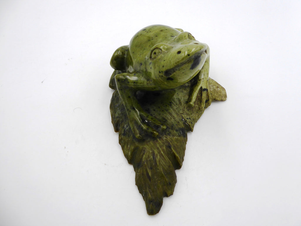Grosse grenouille sur un nénuphar (Jaspe Kimbala ?) - Venant d'Afrique du sud