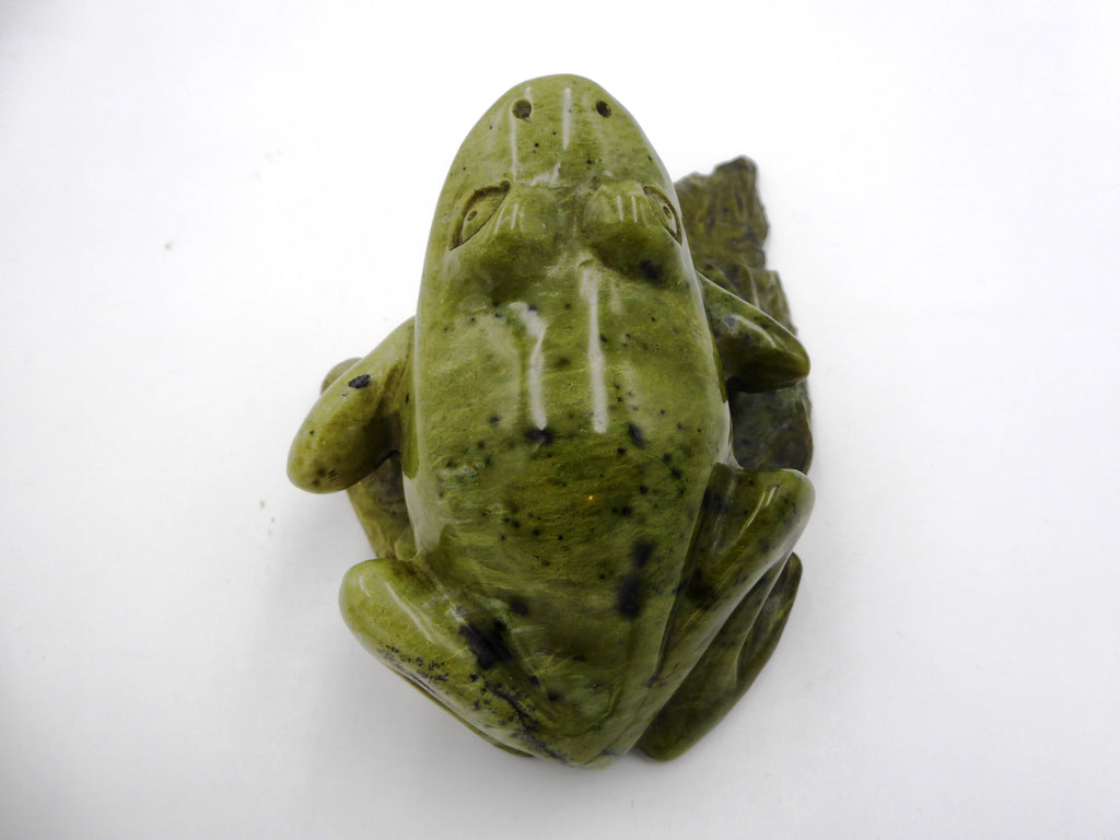 Grosse grenouille sur un nénuphar (Jaspe Kimbala ?) - Venant d'Afrique du sud