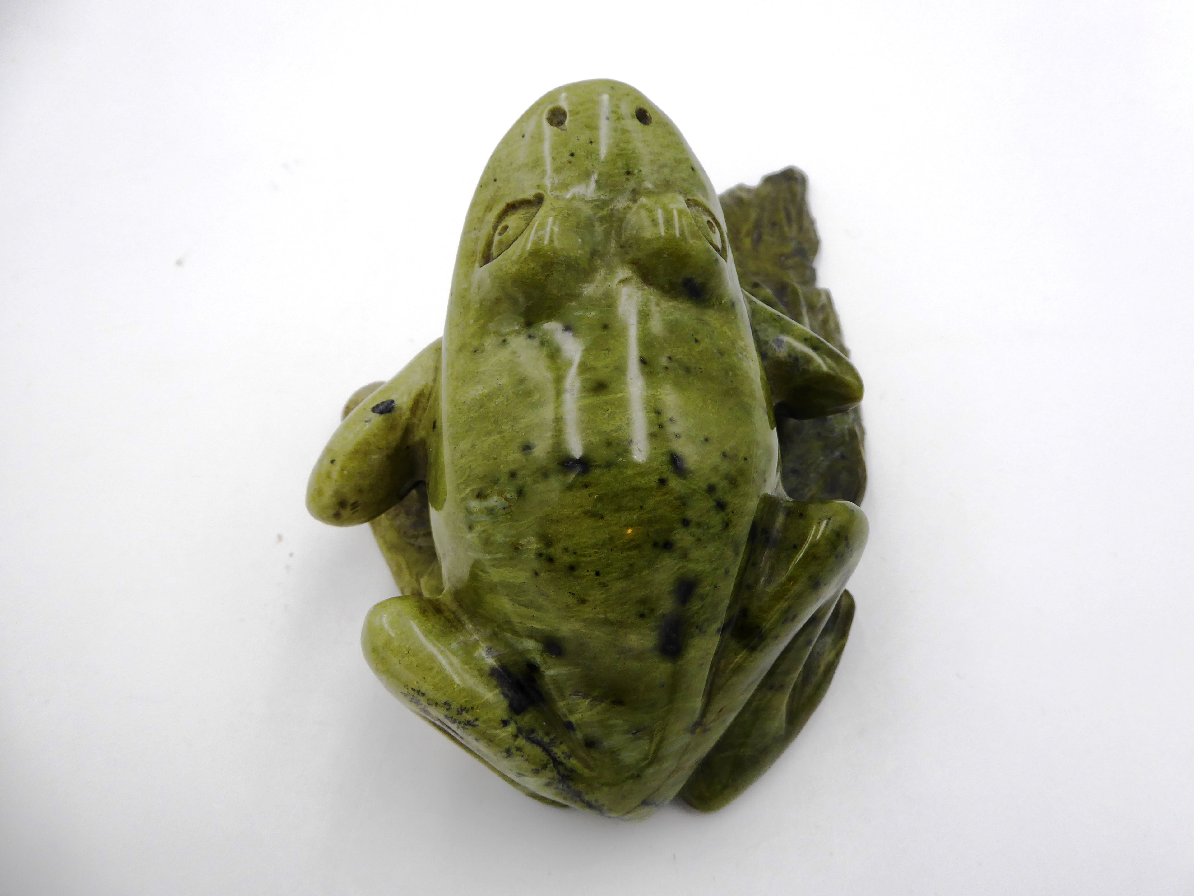 Grosse grenouille sur un nénuphar (Jaspe Kimbala ?) - Venant d'Afrique du sud