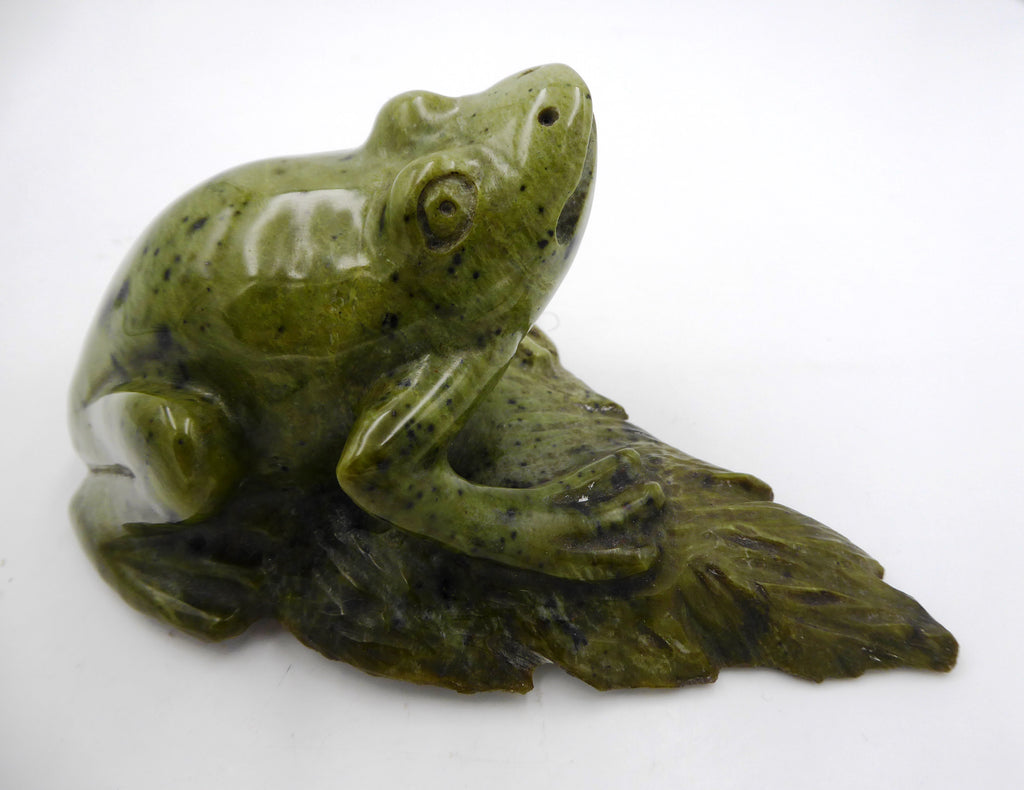 Grosse grenouille sur un nénuphar (Jaspe Kimbala ?) - Venant d'Afrique du sud