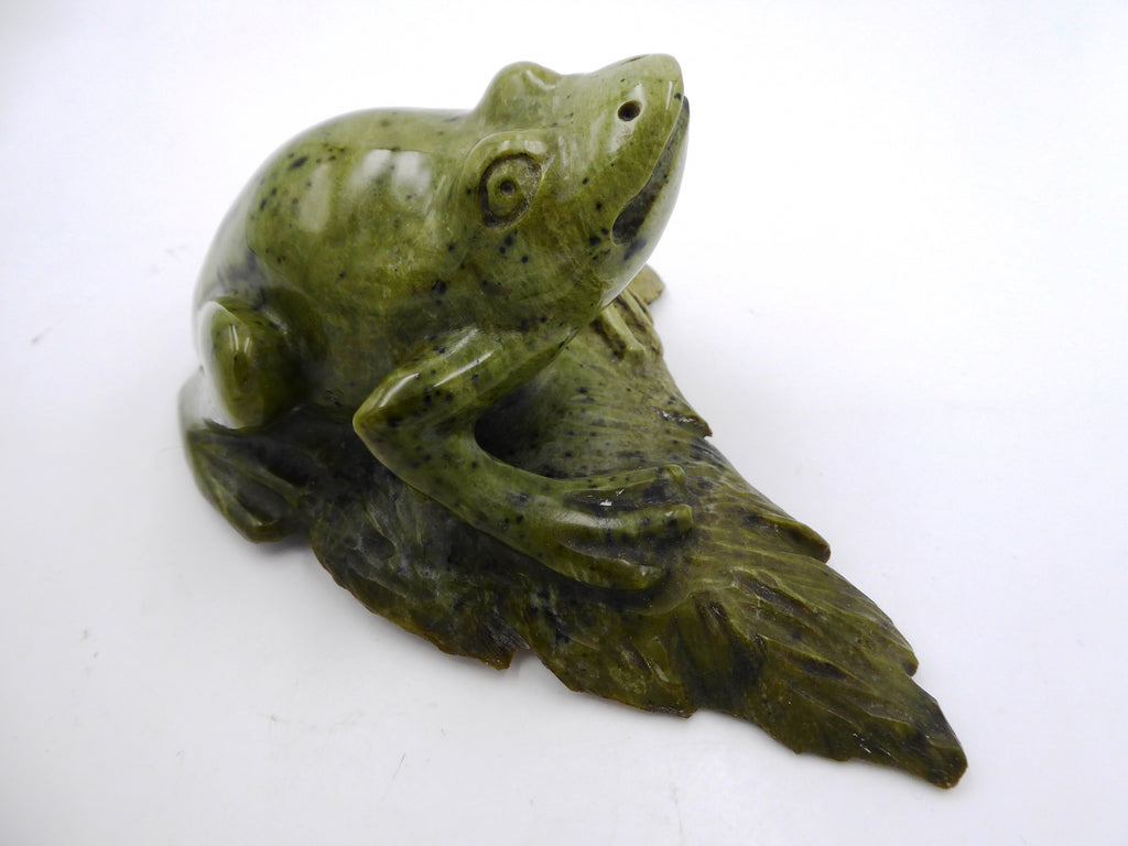 Grosse grenouille sur un nénuphar (Jaspe Kimbala ?) - Venant d'Afrique du sud