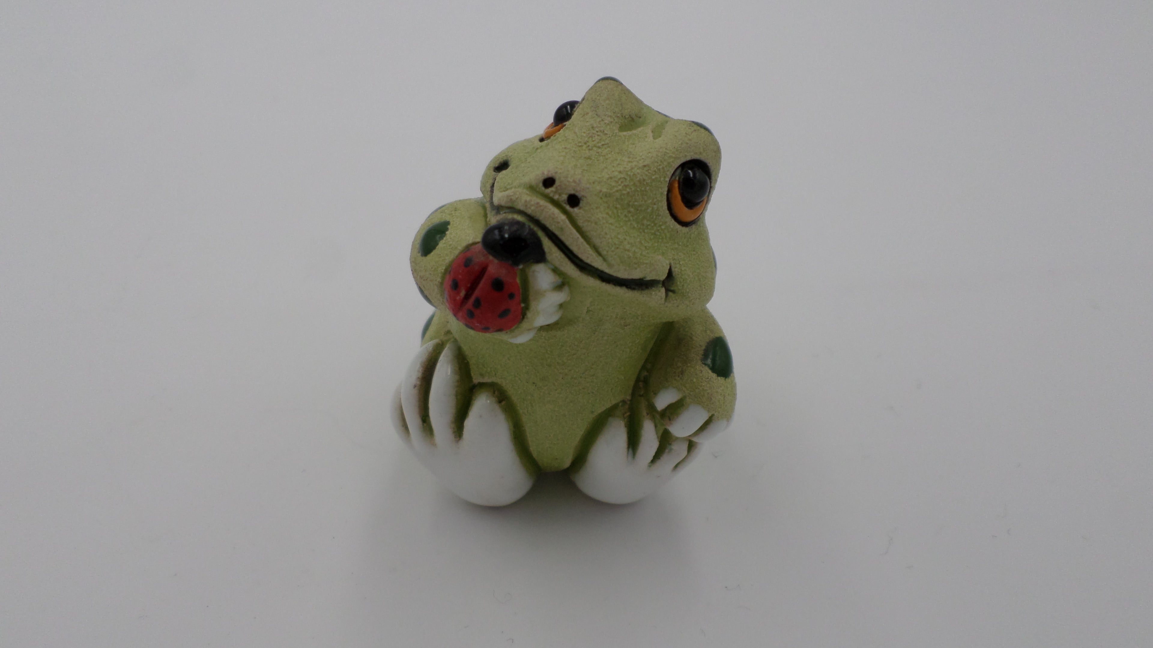 grenouille avec coccinelle
