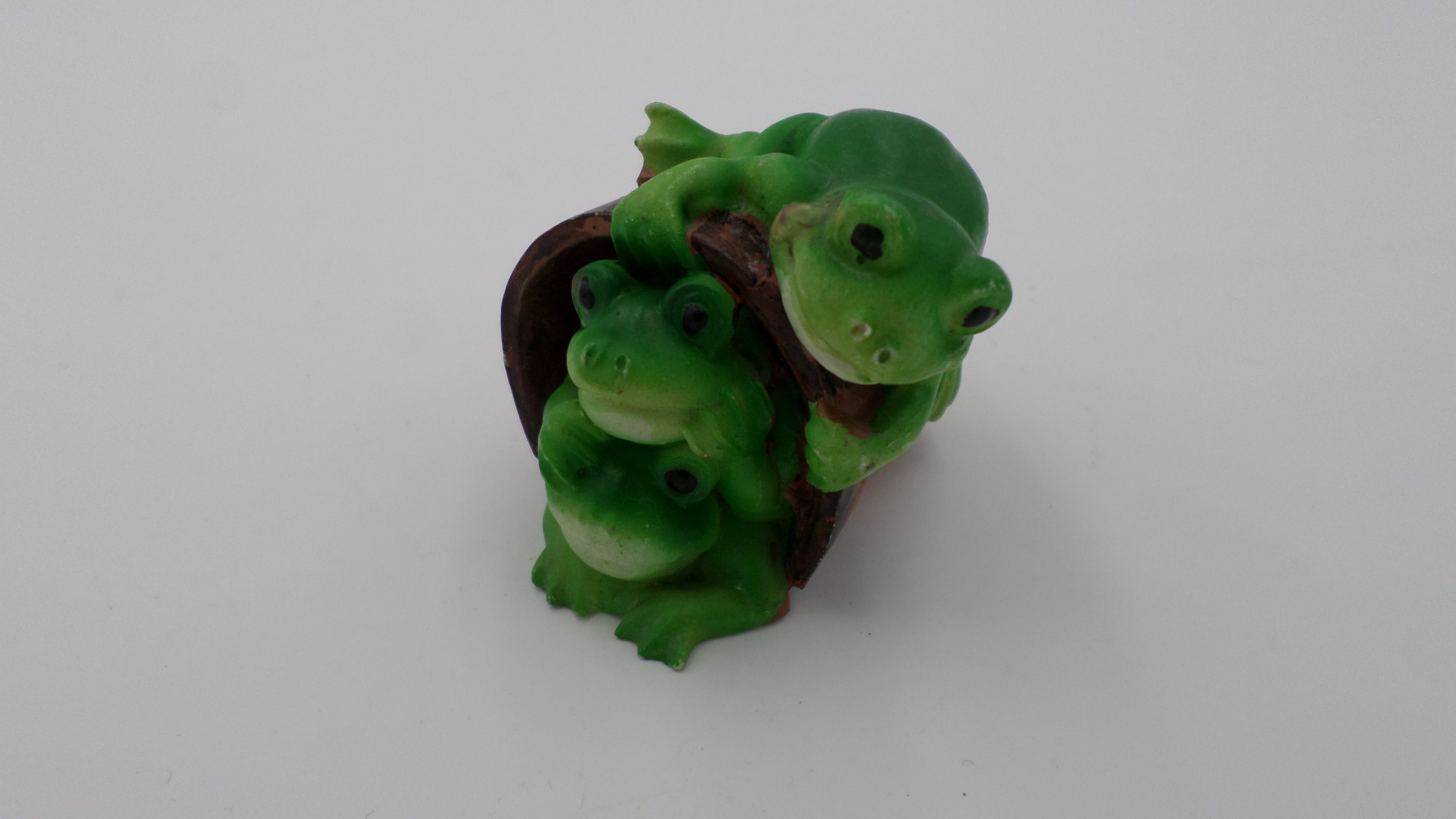 Grenouille dans un pot