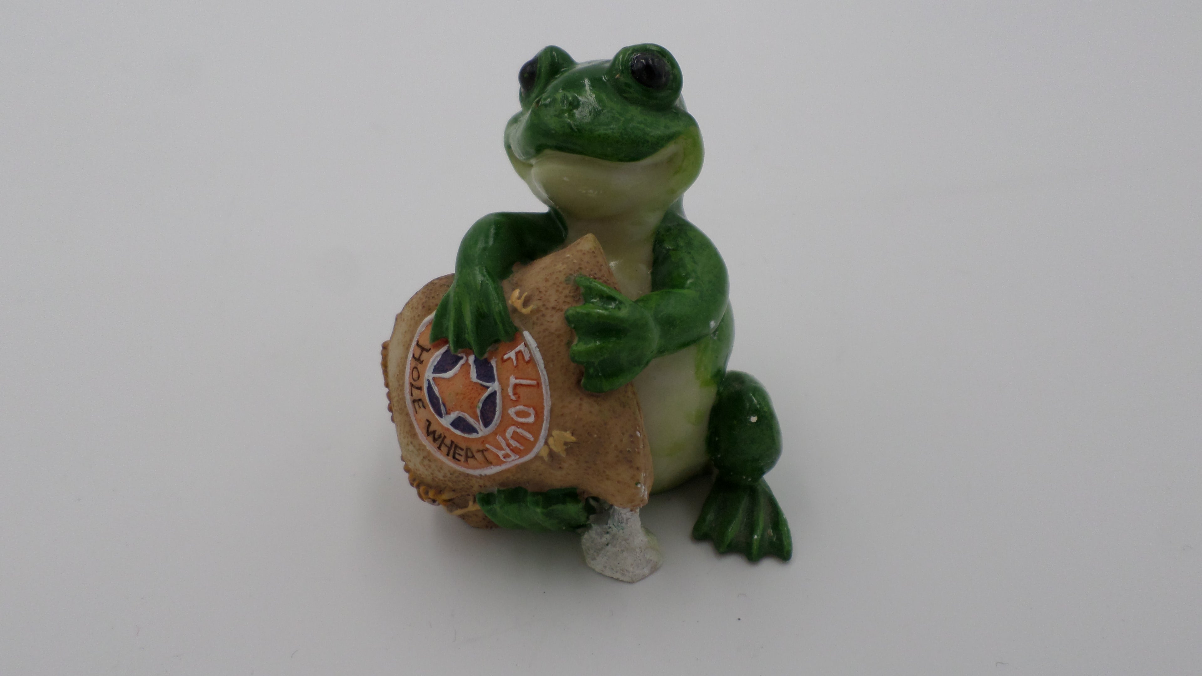Grenouille avec un coussin