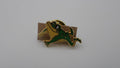 Pins grenouille