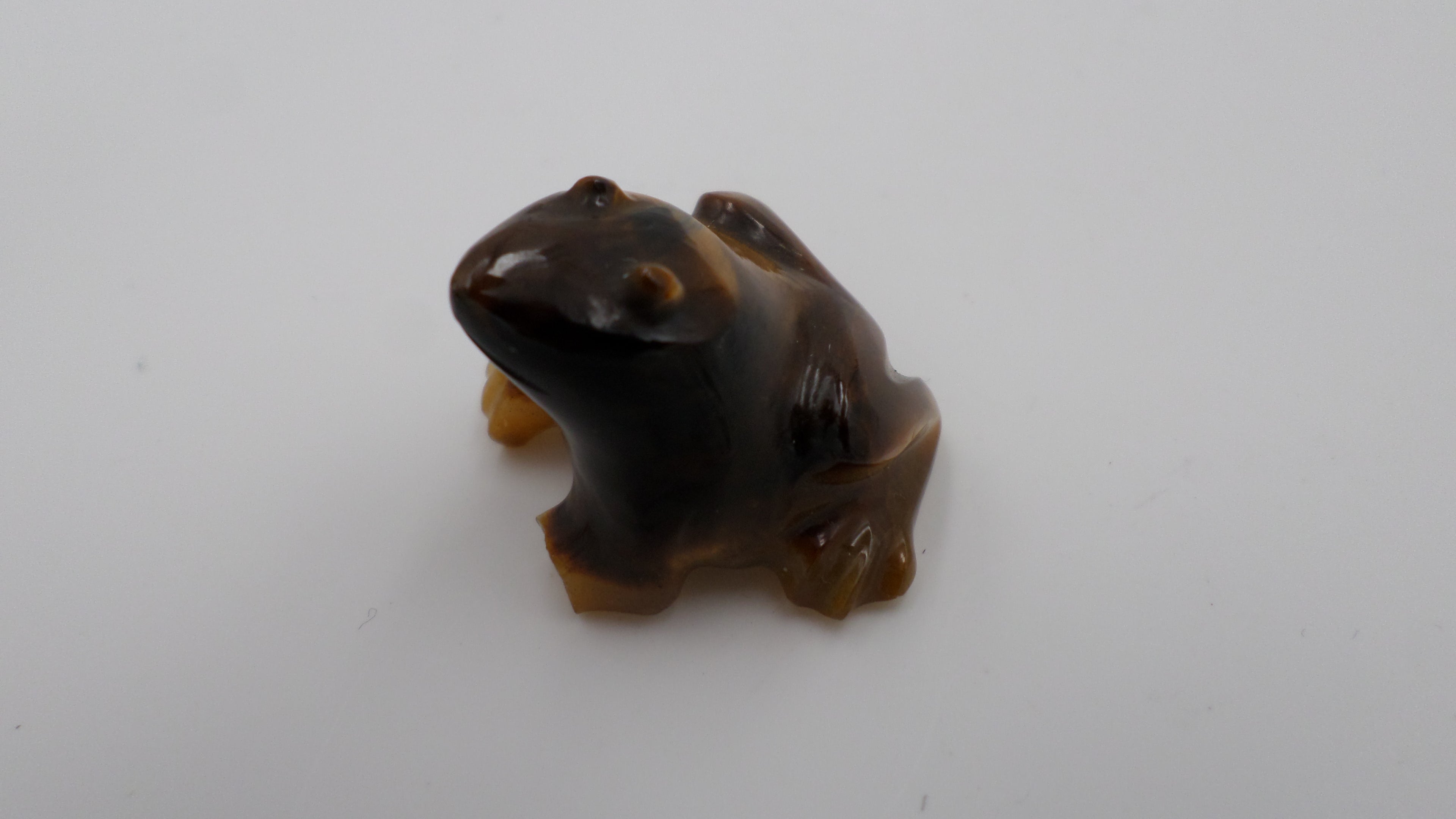 Petite grenouille en œil de tigre