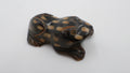Petite grenouille en corne de Madagascar