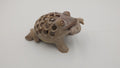 Grenouille africaine dont le ventre est ajouré et l'on voit une petite grenouille dedans
