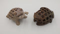 Couple de grenouilles africaines dont le ventre est ajourée et l'on voit une petite grenouille à l'intérieur
