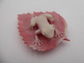 Grenouille sculpté en corail rose provenant des iles vierges