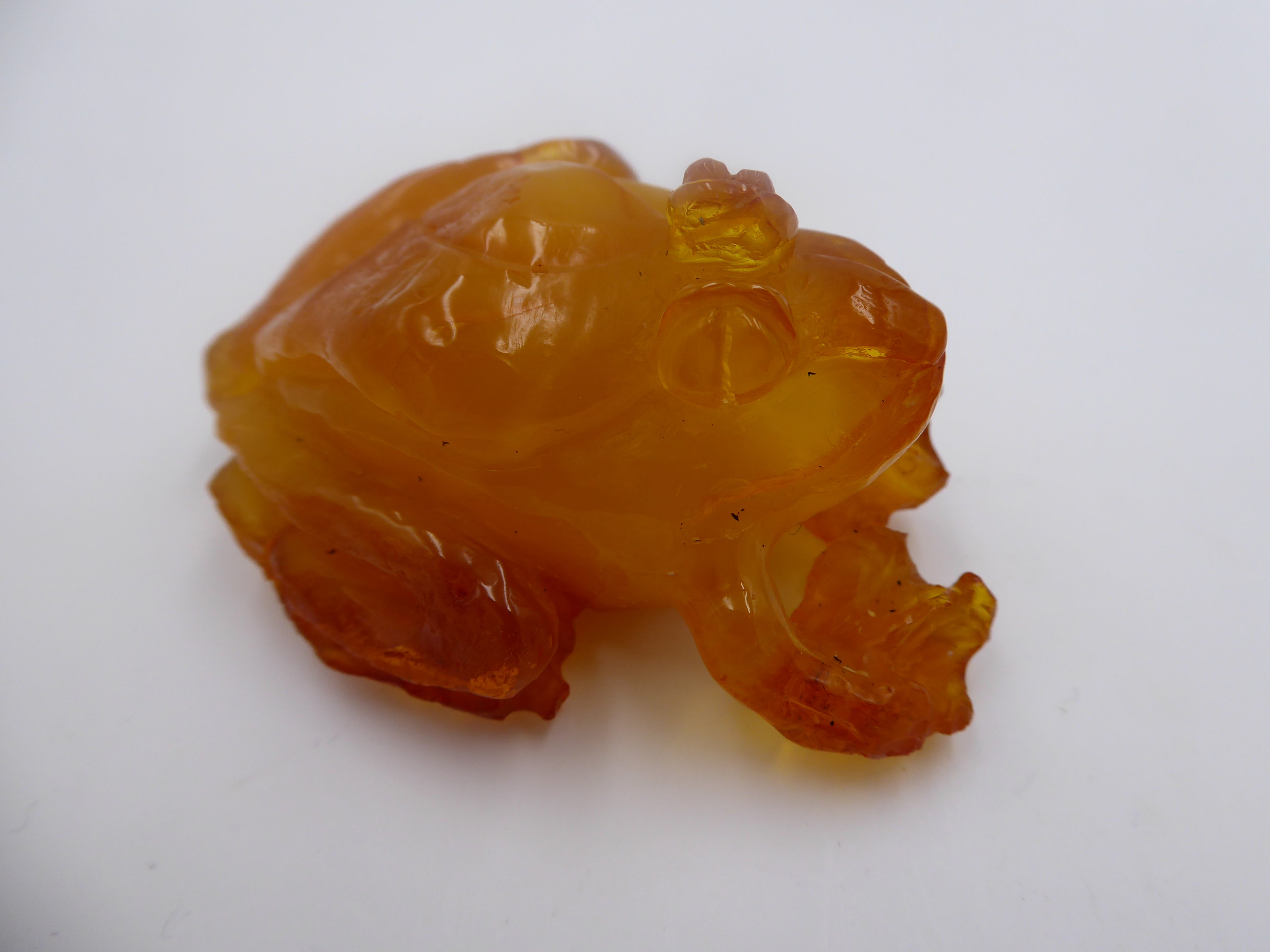 Grosse grenouille en ambre