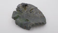 Dans le style bronze de Vienne - Grenouille sur une feuille de chou